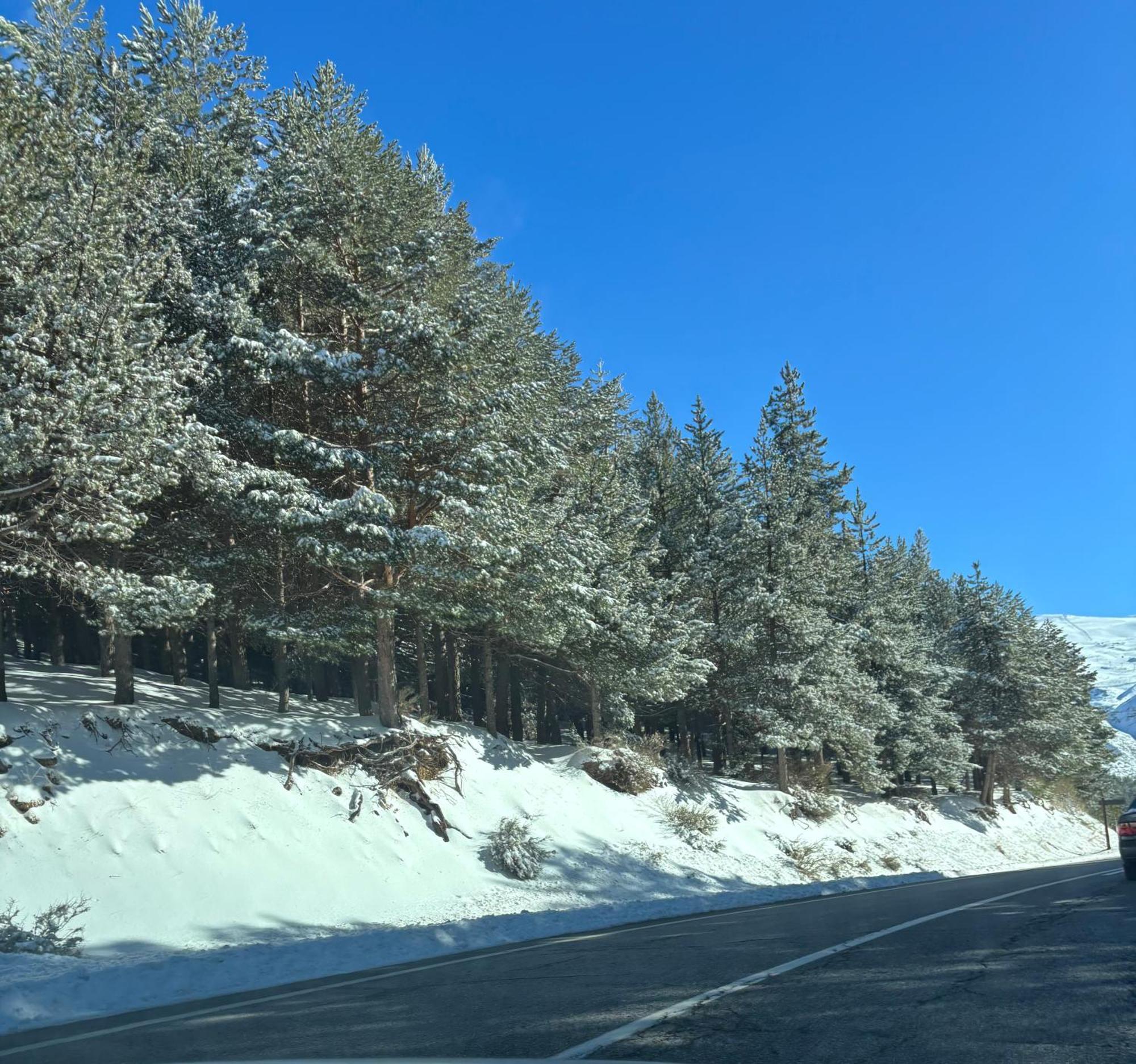 شقة Biznaga Nevada غرناطة المظهر الخارجي الصورة